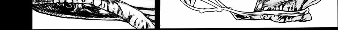 Homunculus Chapter 7 page 20 - 