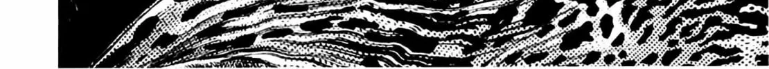 Homunculus Chapter 8 page 132 - 