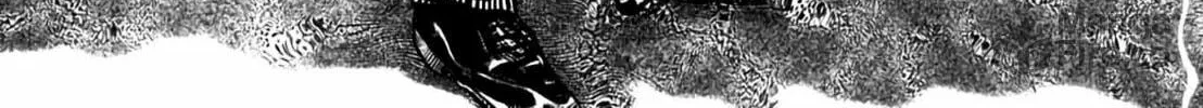 Homunculus Chapter 8 page 220 - 