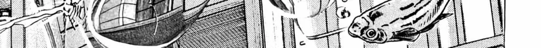 Homunculus Chapter 8 page 246 - 