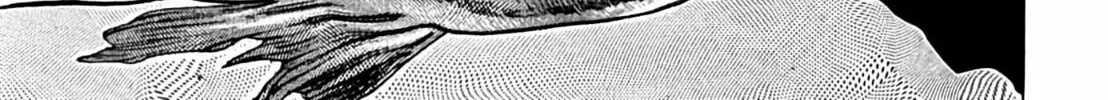Homunculus Chapter 8 page 330 - 