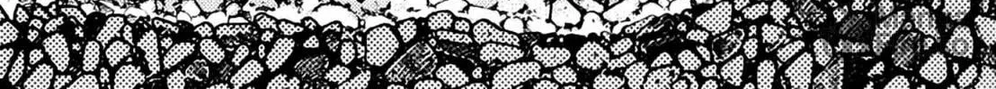 Homunculus Chapter 8 page 8 - 