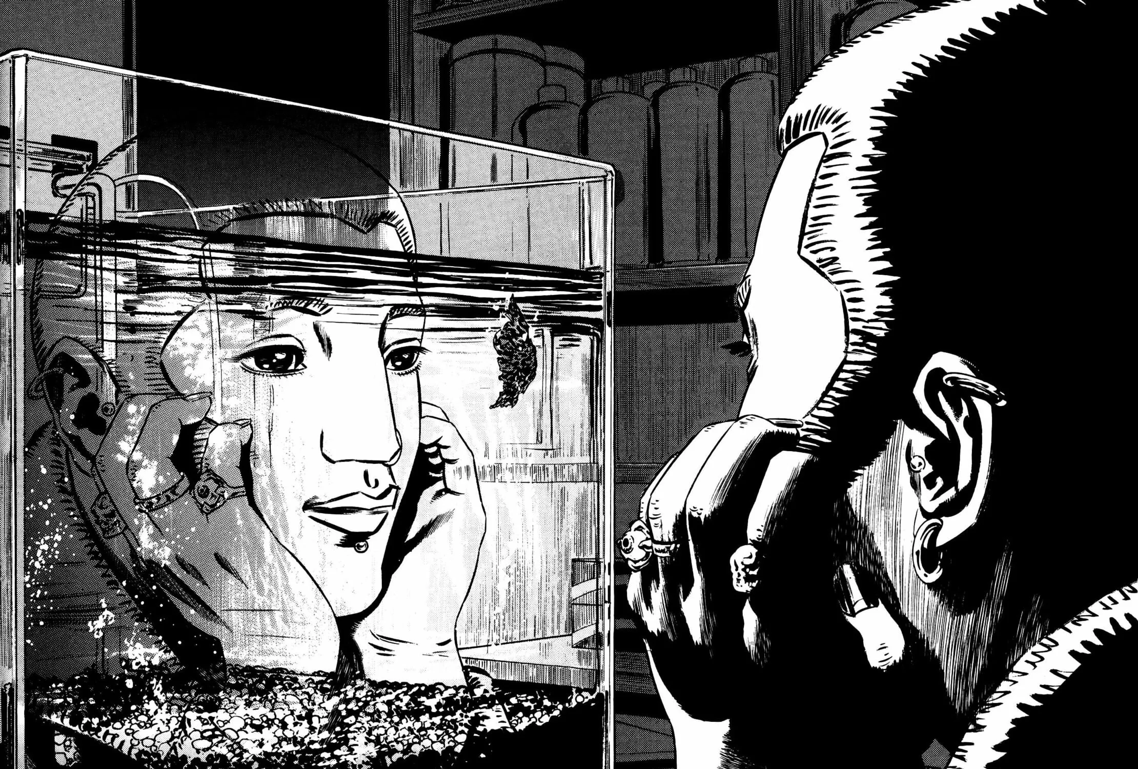 Homunculus Chapter 9 page 253 - 