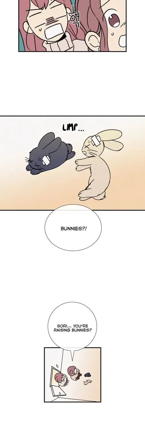 Honey Bunny! Chapter 16 page 3 - 