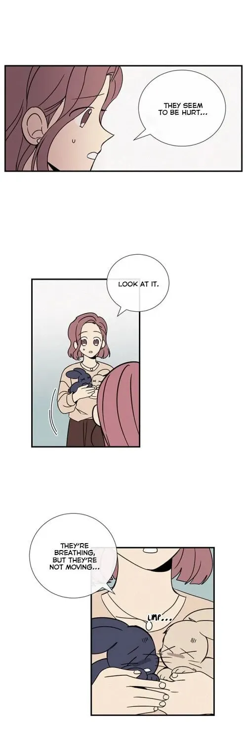 Honey Bunny! Chapter 16 page 5 - 