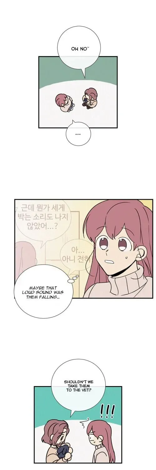 Honey Bunny! Chapter 16 page 6 - 