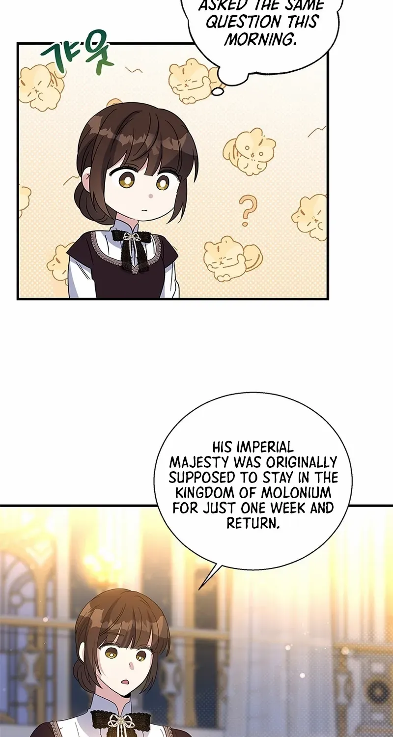 Honey, I’m Going On a Strike Chapter 143 page 37 - 