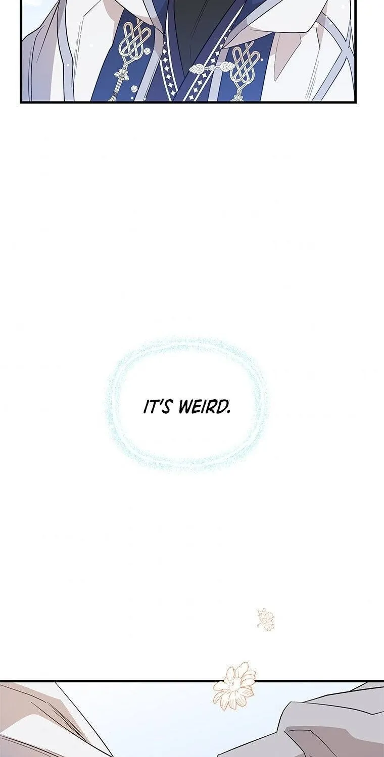 Honey, I’m Going On a Strike Chapter 47 page 45 - 