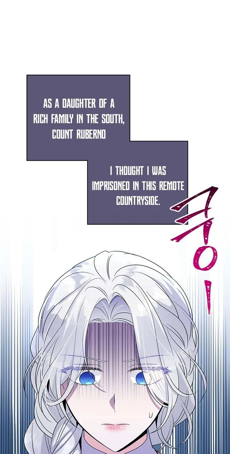 Honey, I’m Going On a Strike Chapter 56 page 47 - 
