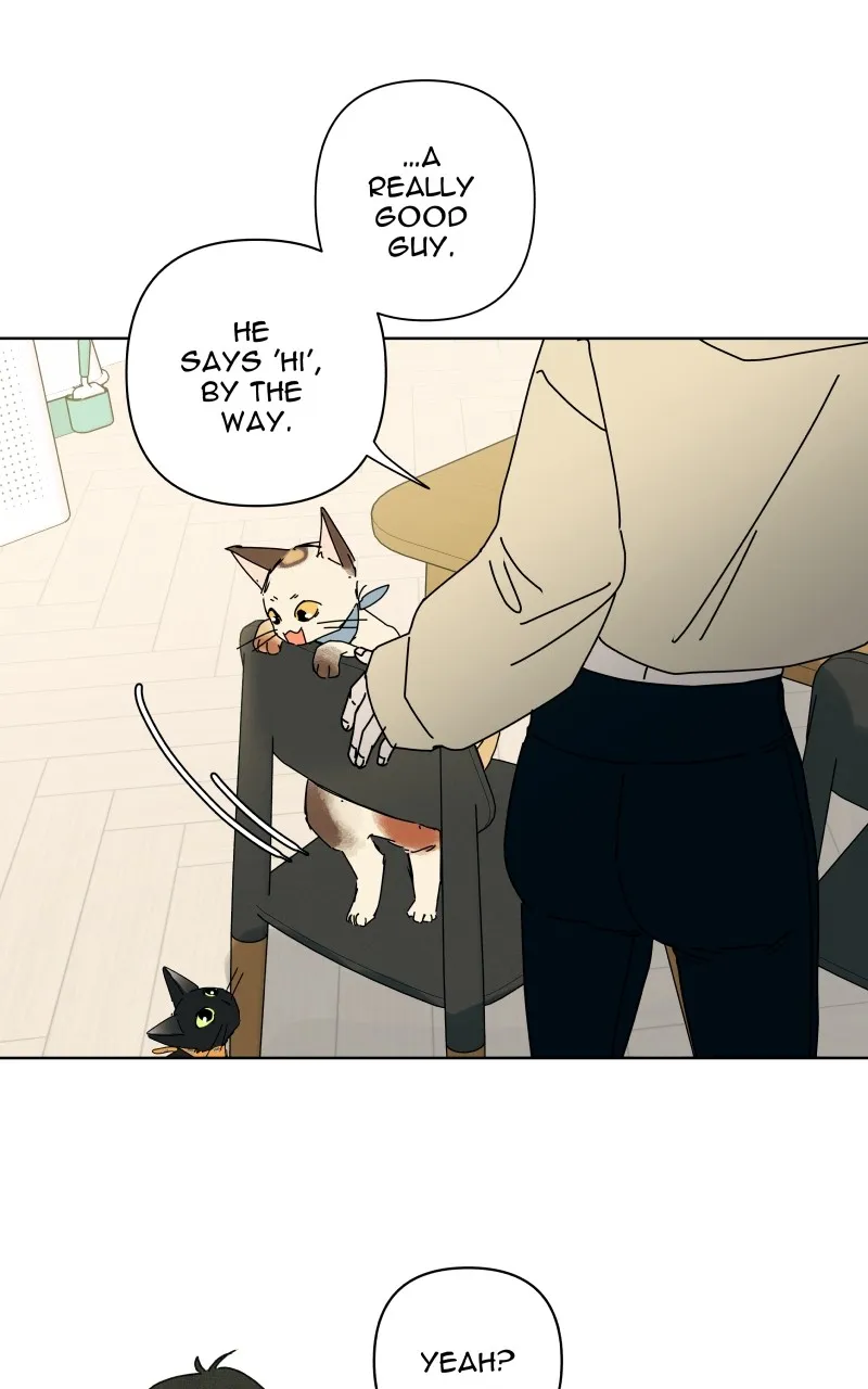 Honey Lemon Chapter 28 page 31 - 