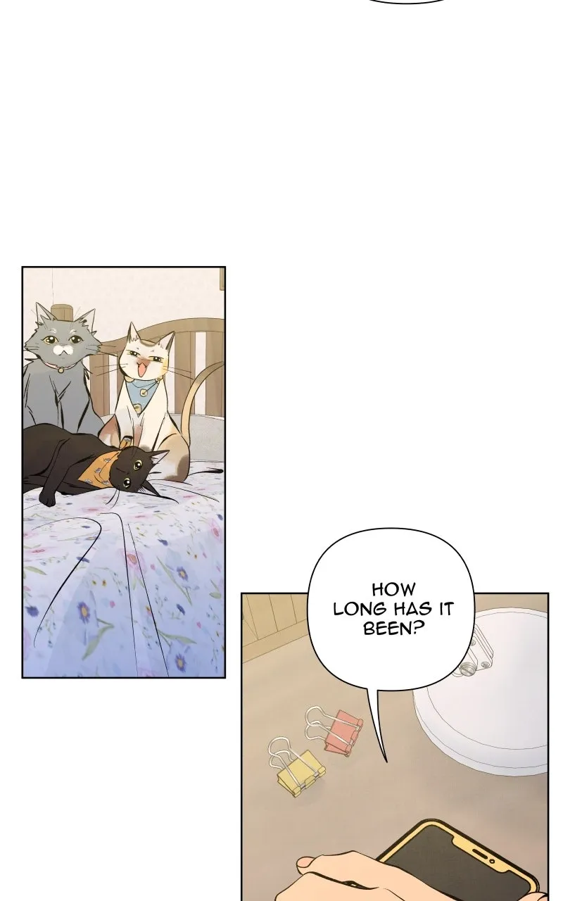 Honey Lemon Chapter 60 page 32 - 