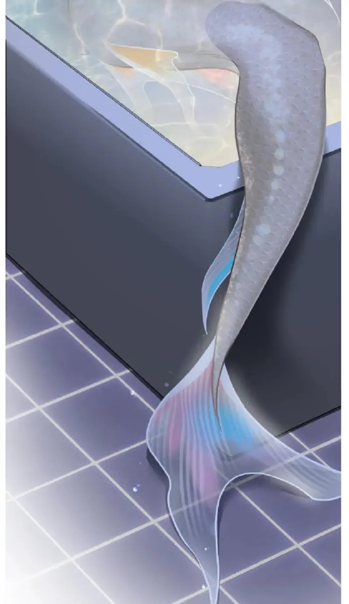 Hooked and Cooked Chapter 9 page 66 - 