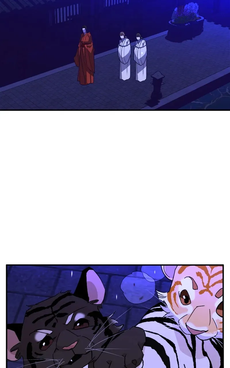 How a Goddess Wins Over Tigers Chapter 1 page 159 - 