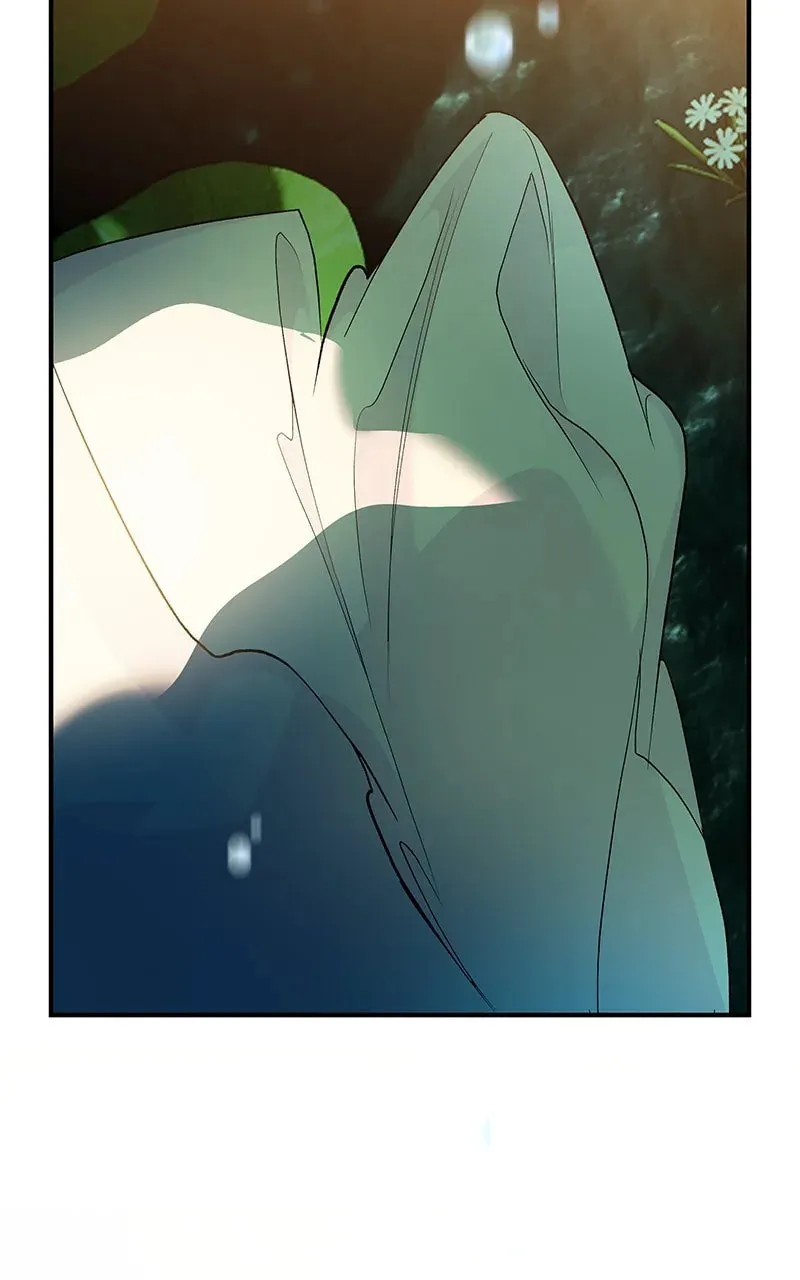 How a Goddess Wins Over Tigers Chapter 112 page 84 - 
