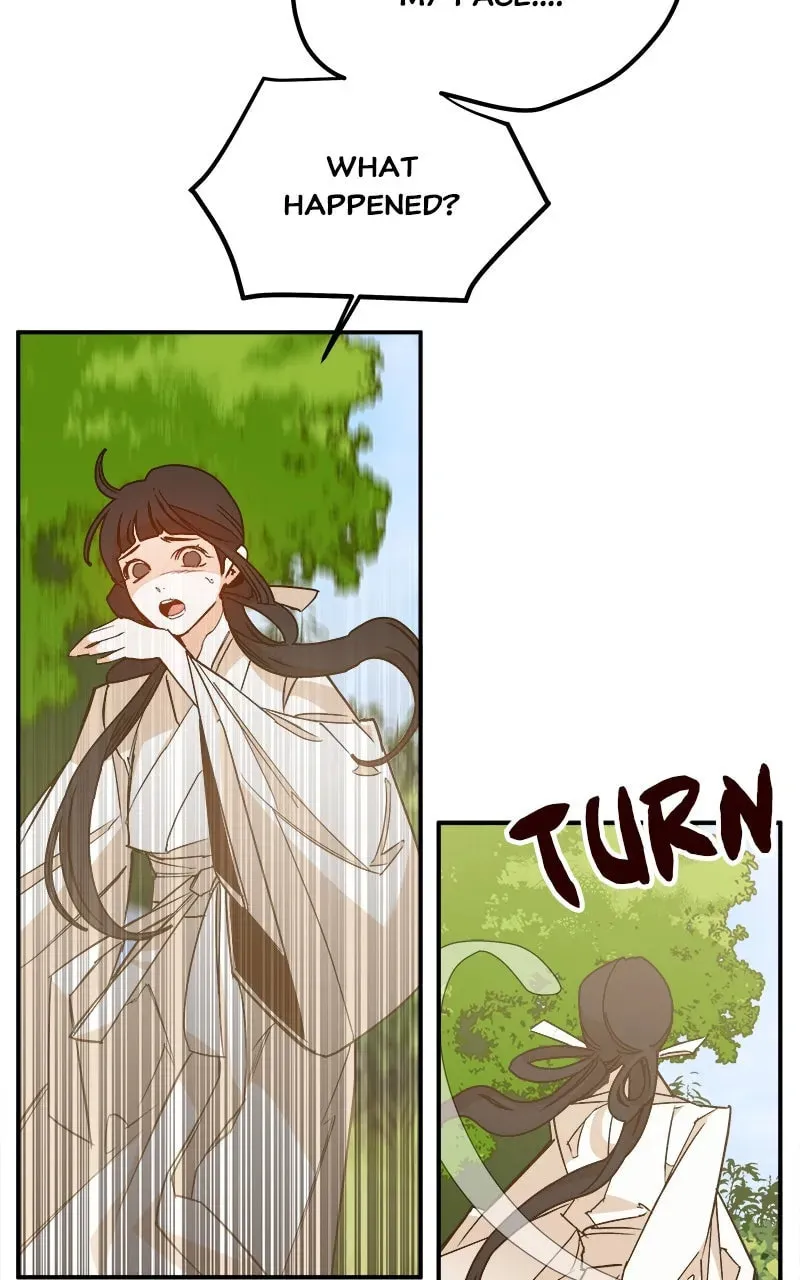 How a Goddess Wins Over Tigers Chapter 2 page 208 - 