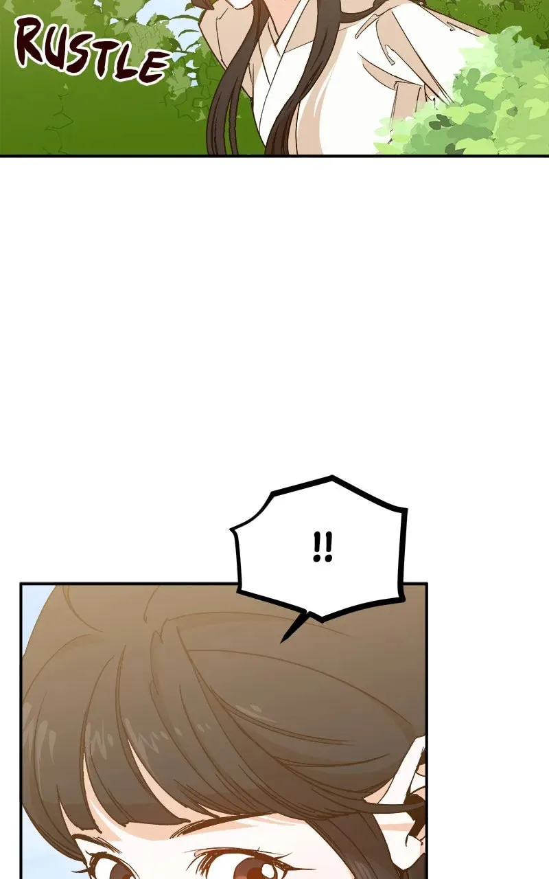 How a Goddess Wins Over Tigers Chapter 2 page 213 - 