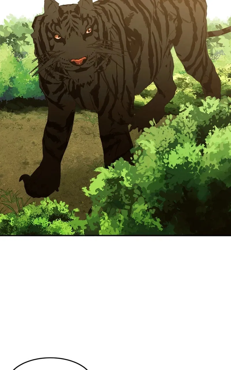 How a Goddess Wins Over Tigers Chapter 2 page 229 - 