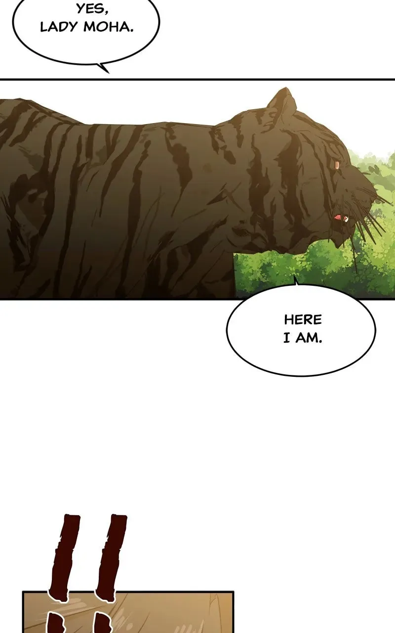 How a Goddess Wins Over Tigers Chapter 2 page 230 - 
