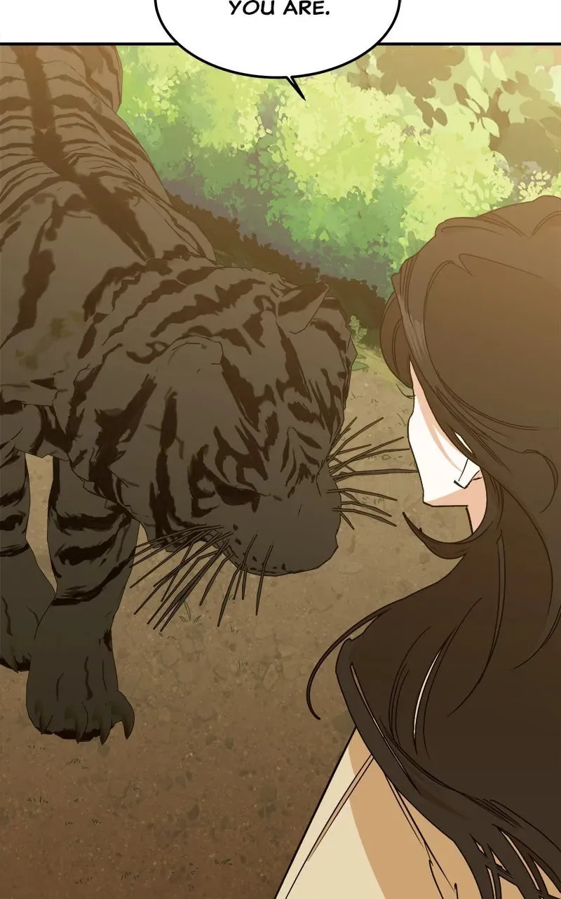 How a Goddess Wins Over Tigers Chapter 2 page 233 - 