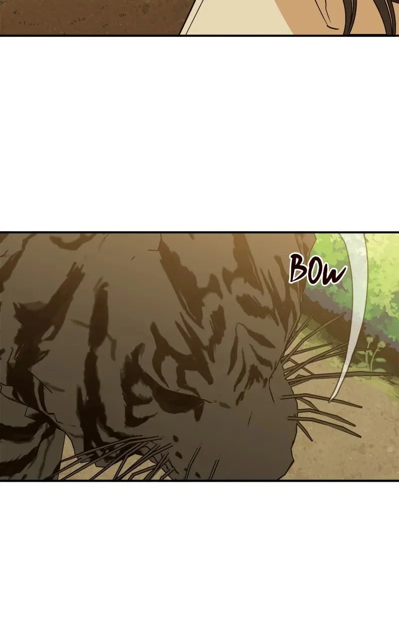 How a Goddess Wins Over Tigers Chapter 2 page 234 - 