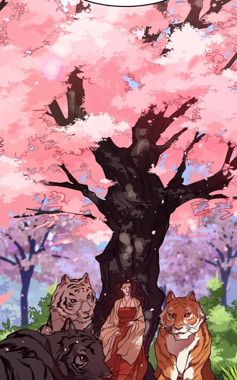 How a Goddess Wins Over Tigers Chapter 2 page 239 - 