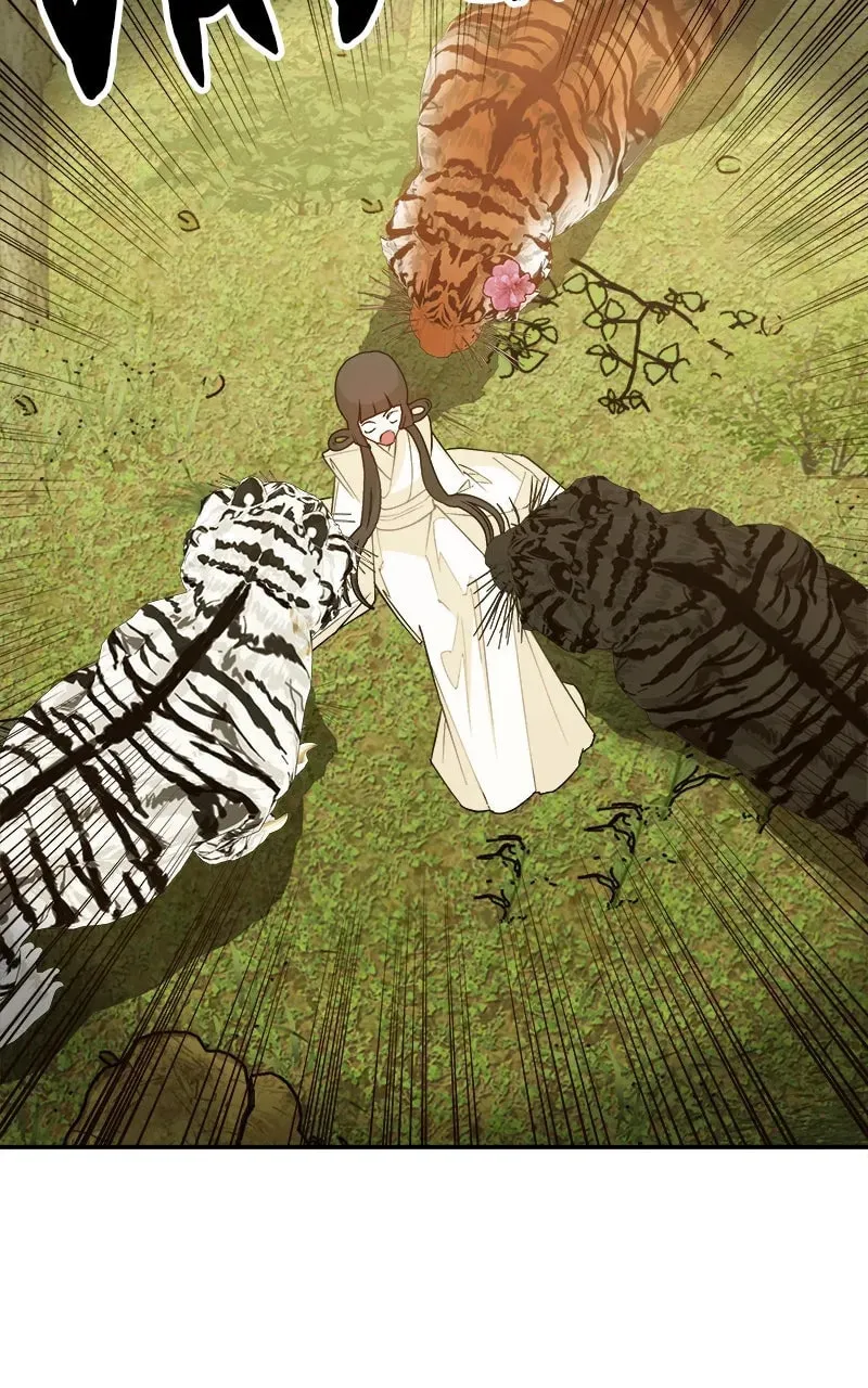 How a Goddess Wins Over Tigers Chapter 3 page 25 - 