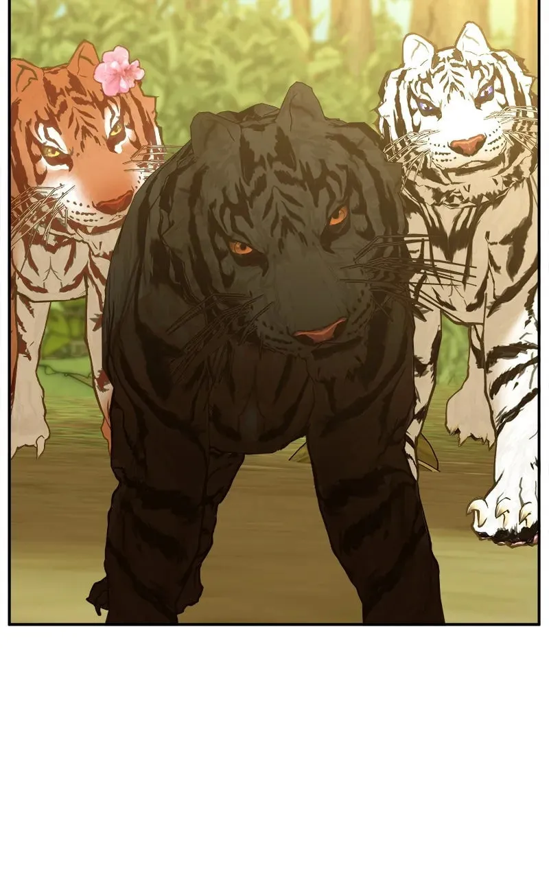 How a Goddess Wins Over Tigers Chapter 3 page 49 - 