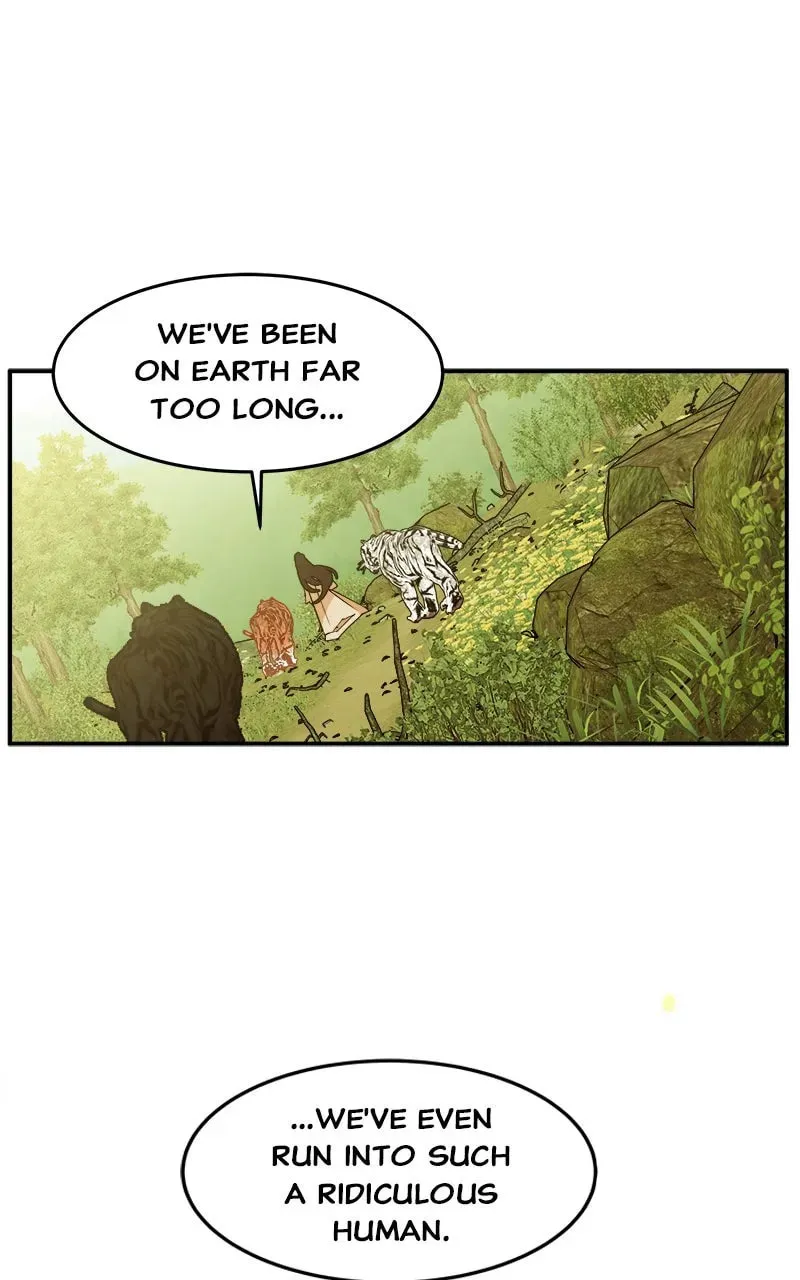 How a Goddess Wins Over Tigers Chapter 3 page 80 - 