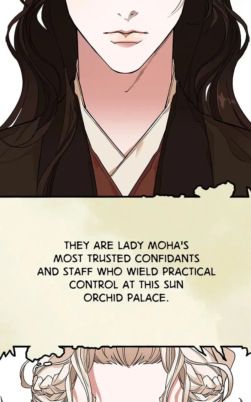 How a Goddess Wins Over Tigers Chapter 7 page 13 - 