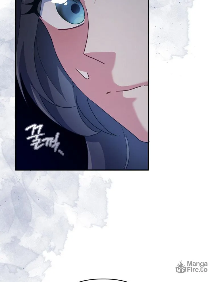 How to Divorce a Dragon Beautifully Chapter 13 page 12 - 