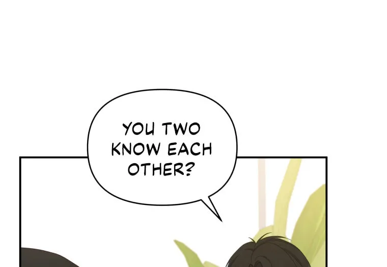 How to Divorce a Dragon Beautifully Chapter 15 page 62 - 