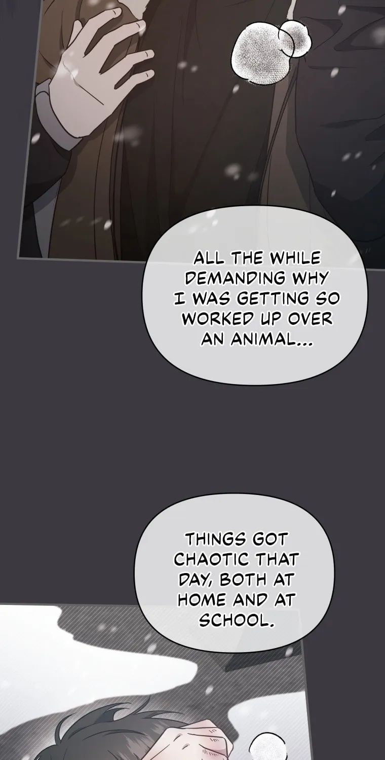 How to Divorce a Dragon Beautifully Chapter 52 page 67 - 