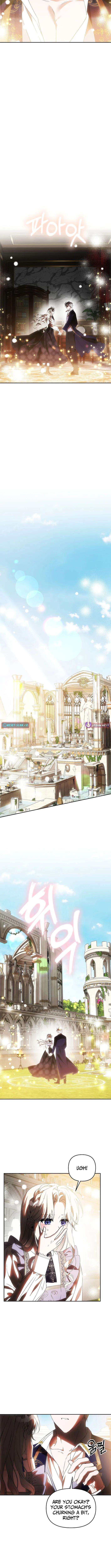 How to Escape from Reverse Harem Clichés Chapter 23 page 6 - 