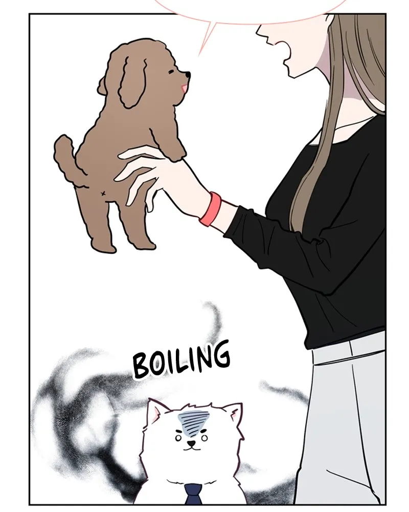 How to Hold His Leash Chapter 1 page 127 - 