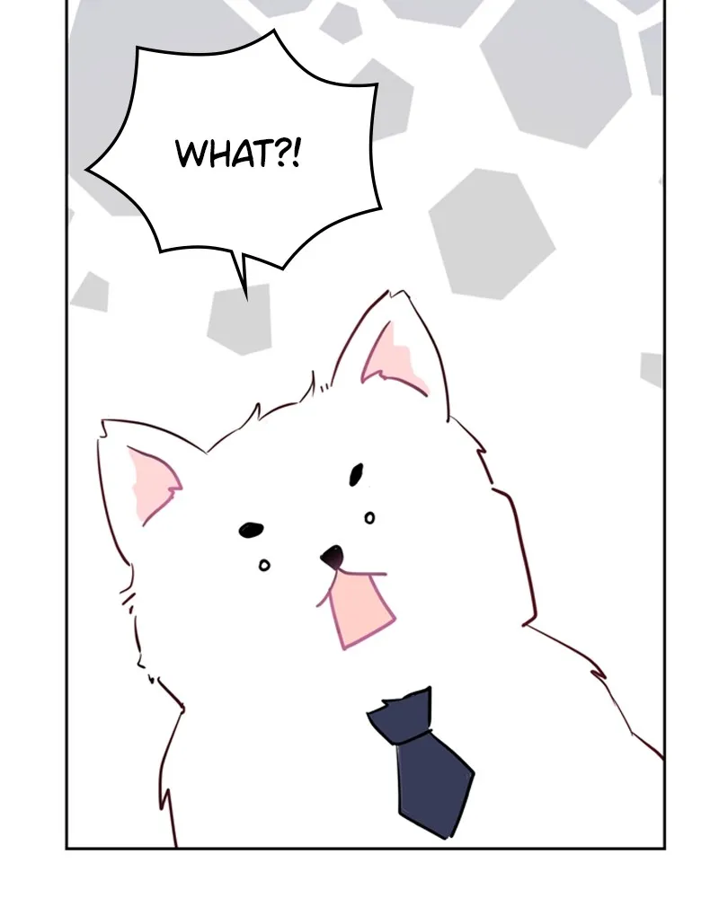 How to Hold His Leash Chapter 1 page 153 - 