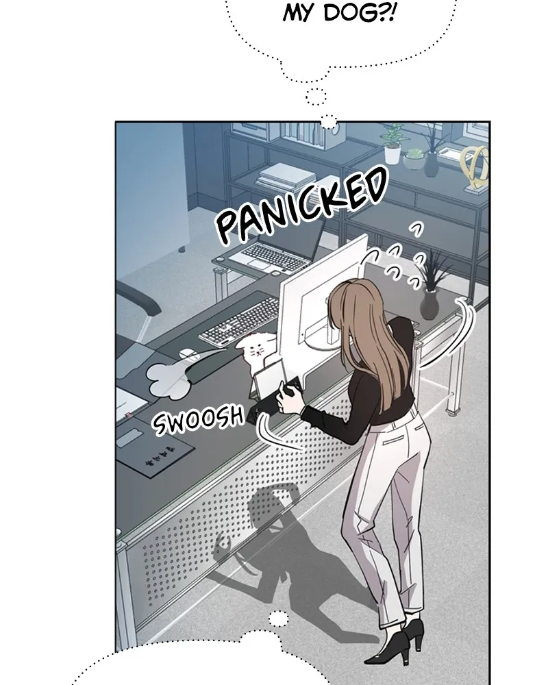 How to Hold His Leash Chapter 1 page 161 - 