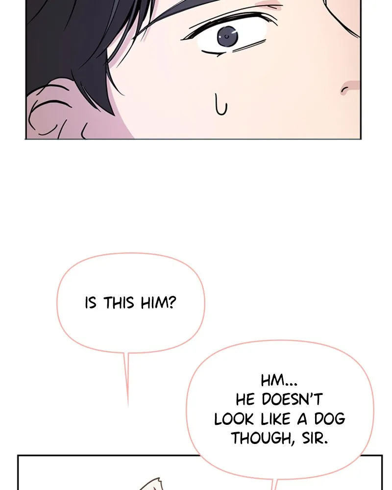 How to Hold His Leash Chapter 1 page 98 - 