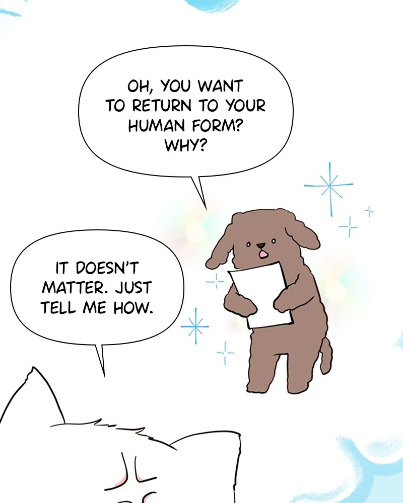 How to Hold His Leash Chapter 3 page 20 - 