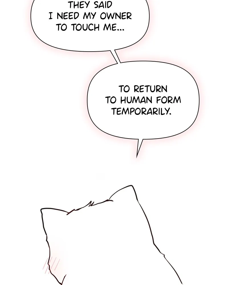 How to Hold His Leash Chapter 3 page 22 - 