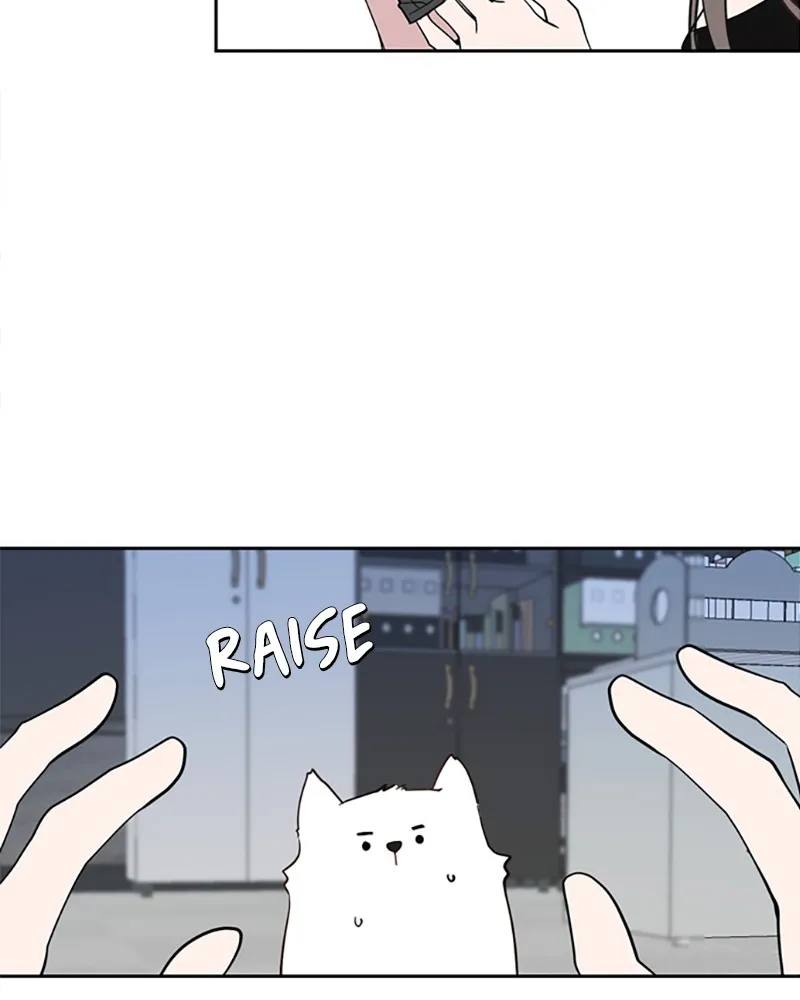 How to Hold His Leash Chapter 3 page 51 - 
