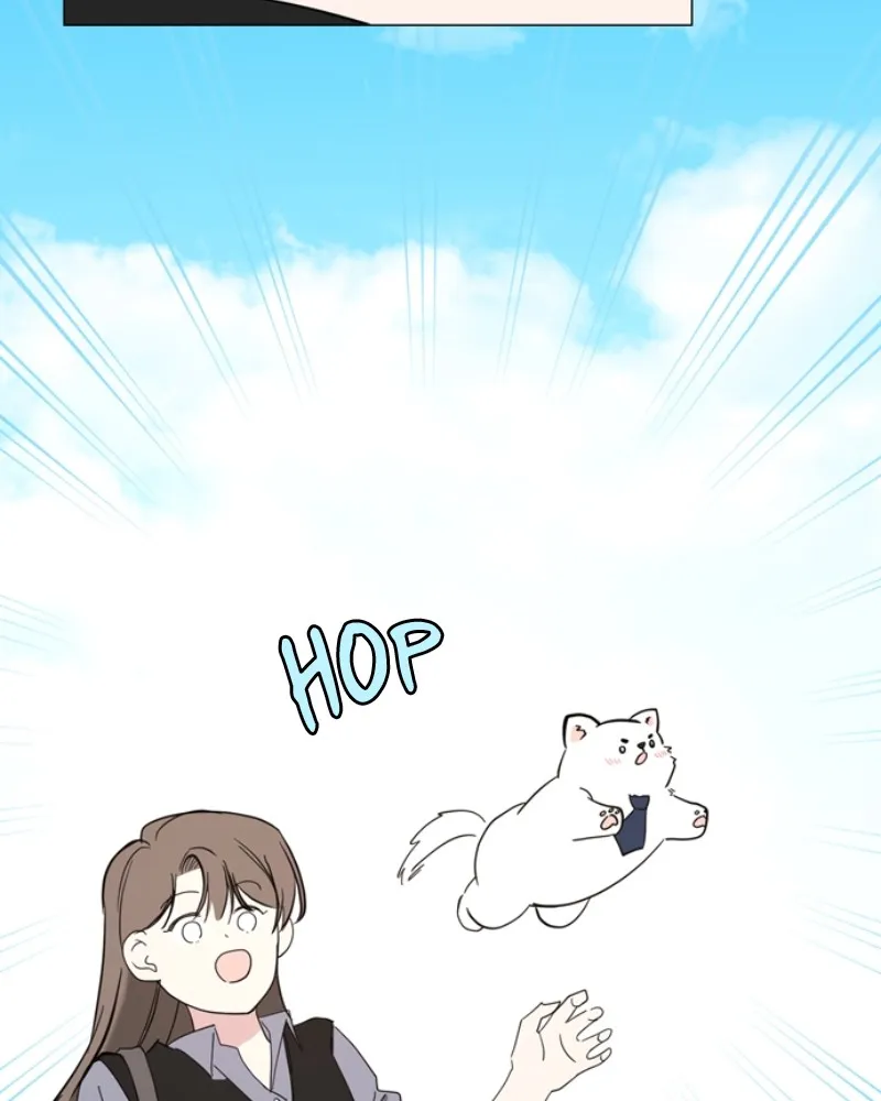 How to Hold His Leash Chapter 43 page 36 - 