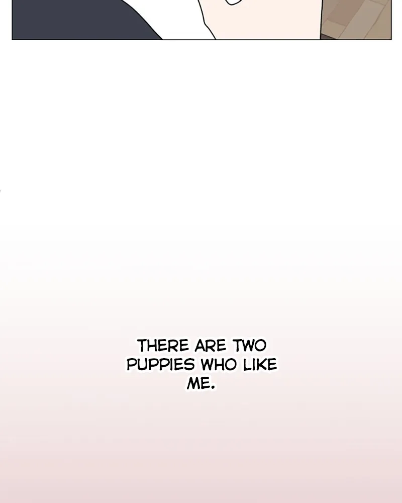 How to Hold His Leash Chapter 48 page 35 - 