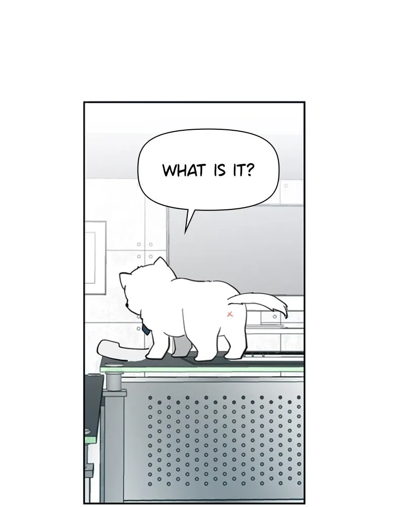How to Hold His Leash Chapter 5 page 11 - 