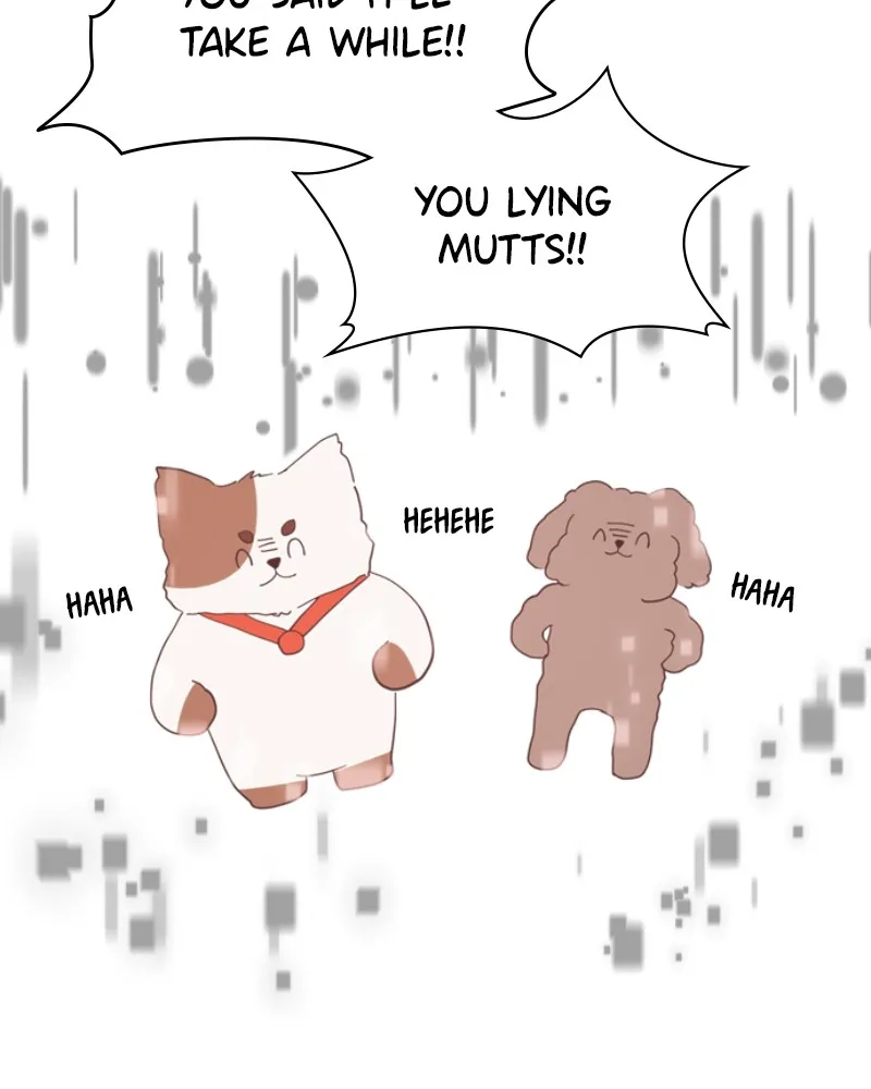 How to Hold His Leash Chapter 52 page 4 - 