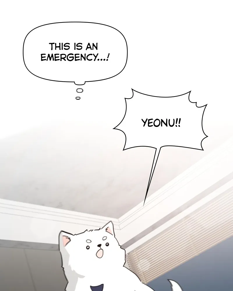 How to Hold His Leash Chapter 52 page 5 - 