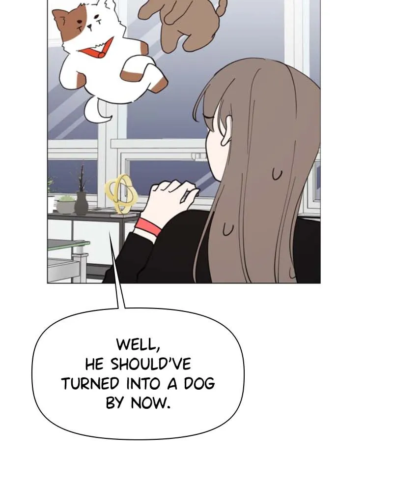 How to Hold His Leash Chapter 53 page 14 - 