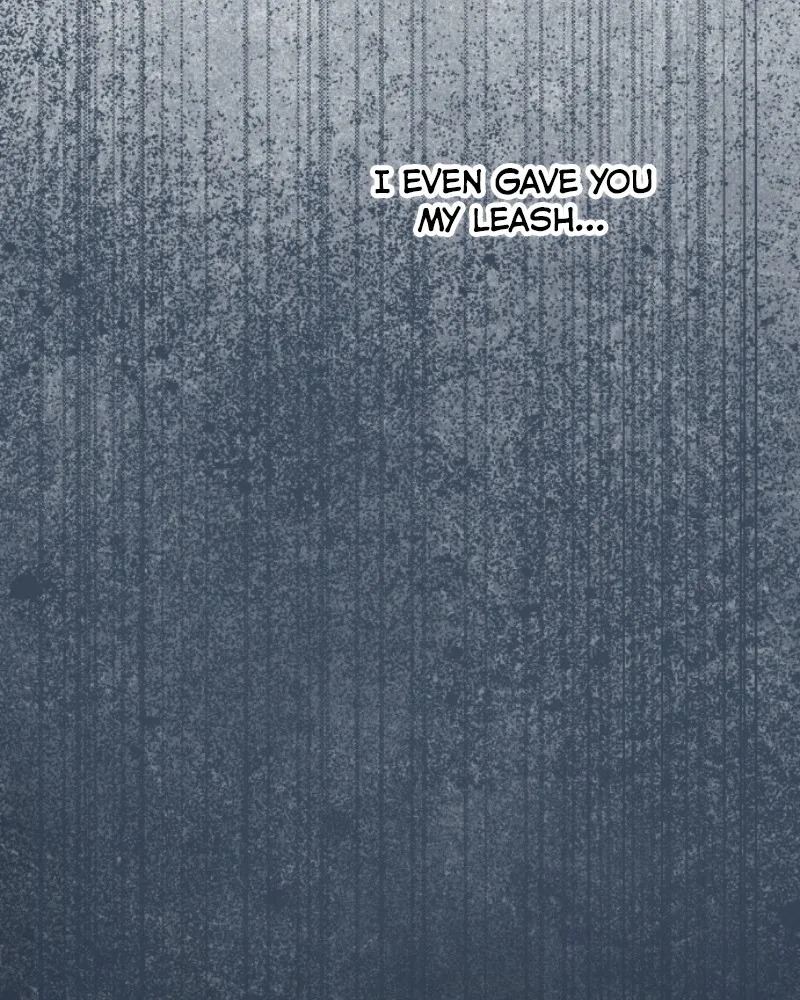 How to Hold His Leash Chapter 54 page 14 - 