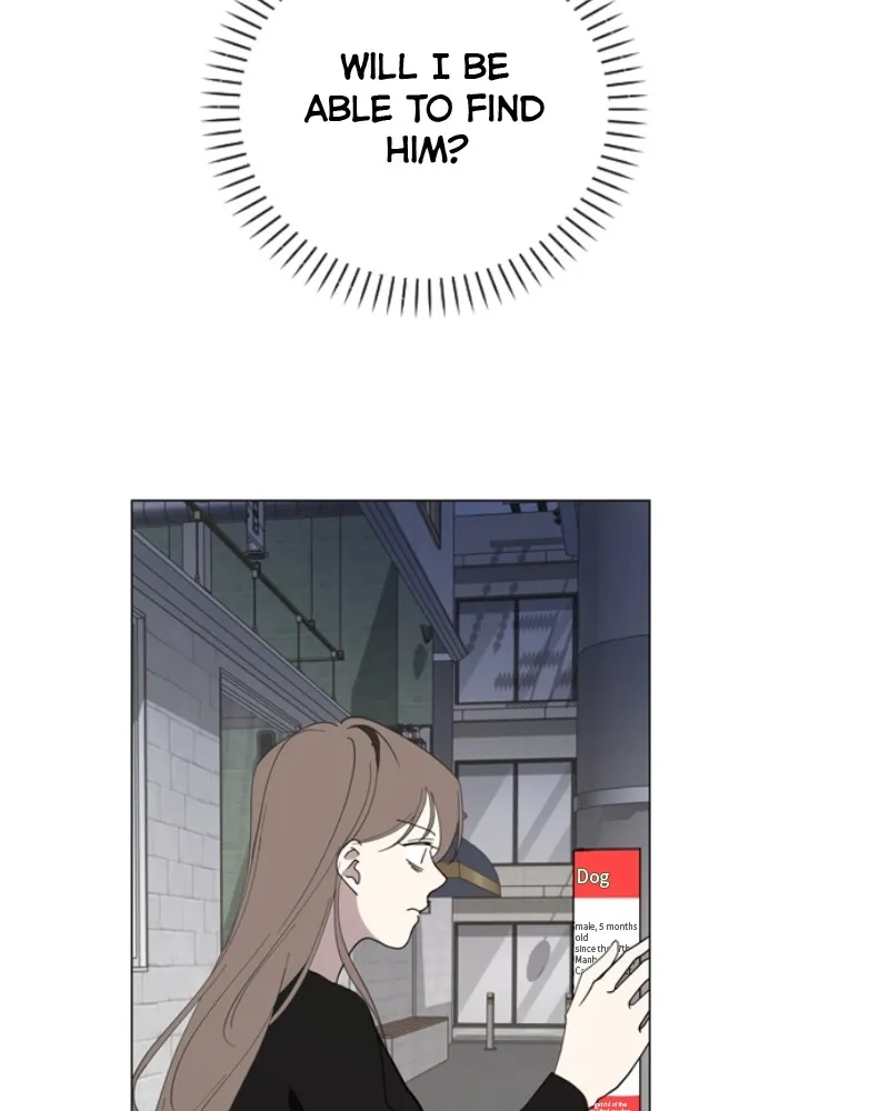How to Hold His Leash Chapter 54 page 70 - 