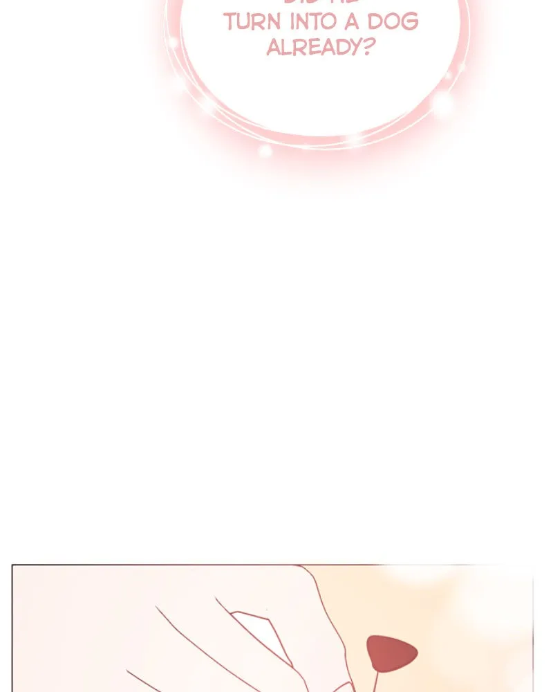 How to Hold His Leash Chapter 57 page 57 - 
