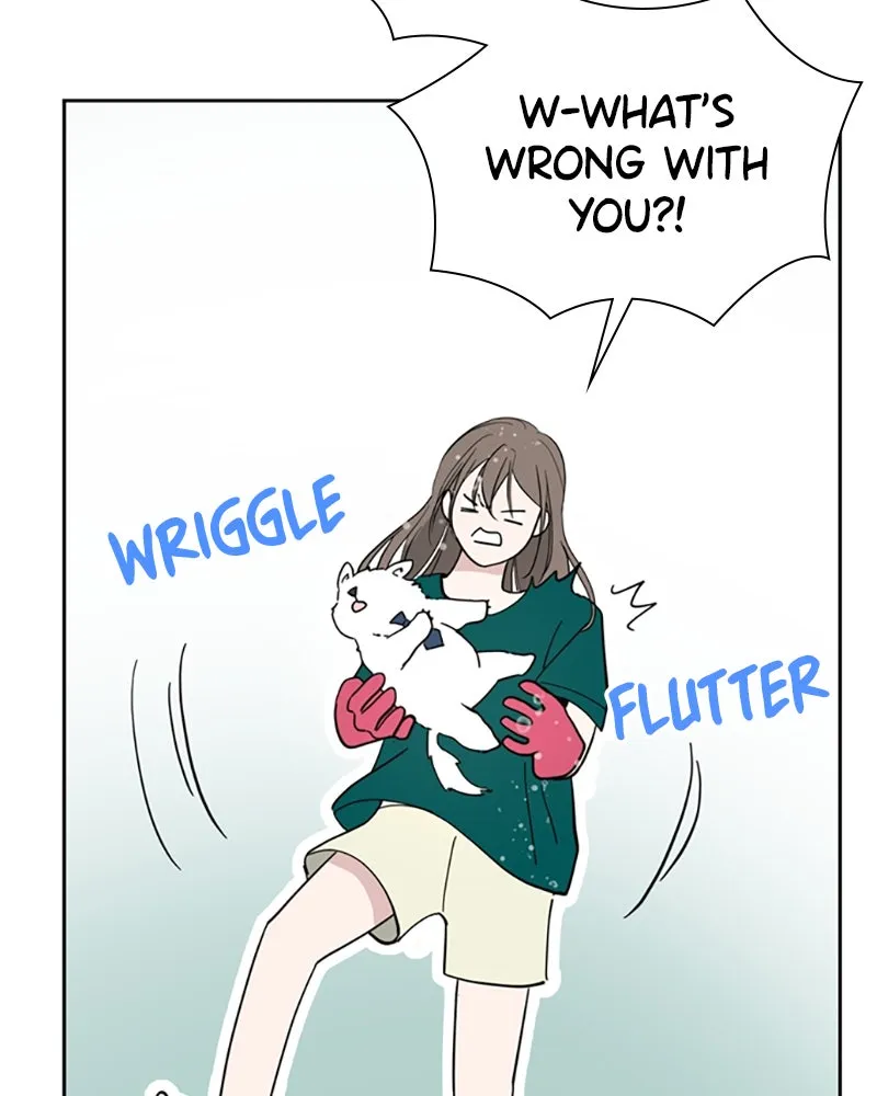 How to Hold His Leash Chapter 6 page 72 - 